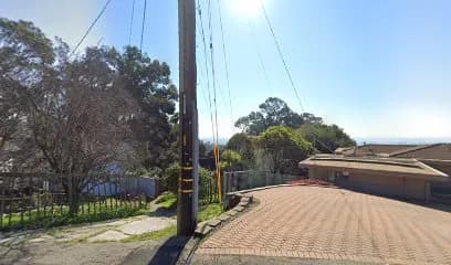 Biker Dogs Motorcycle Club